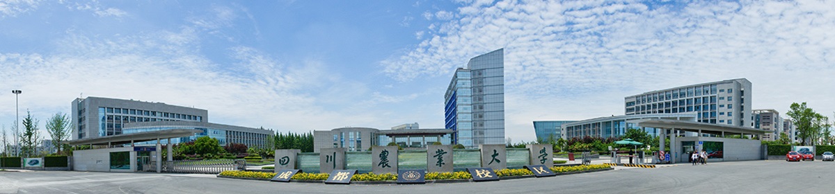 美狮贵宾会ms092